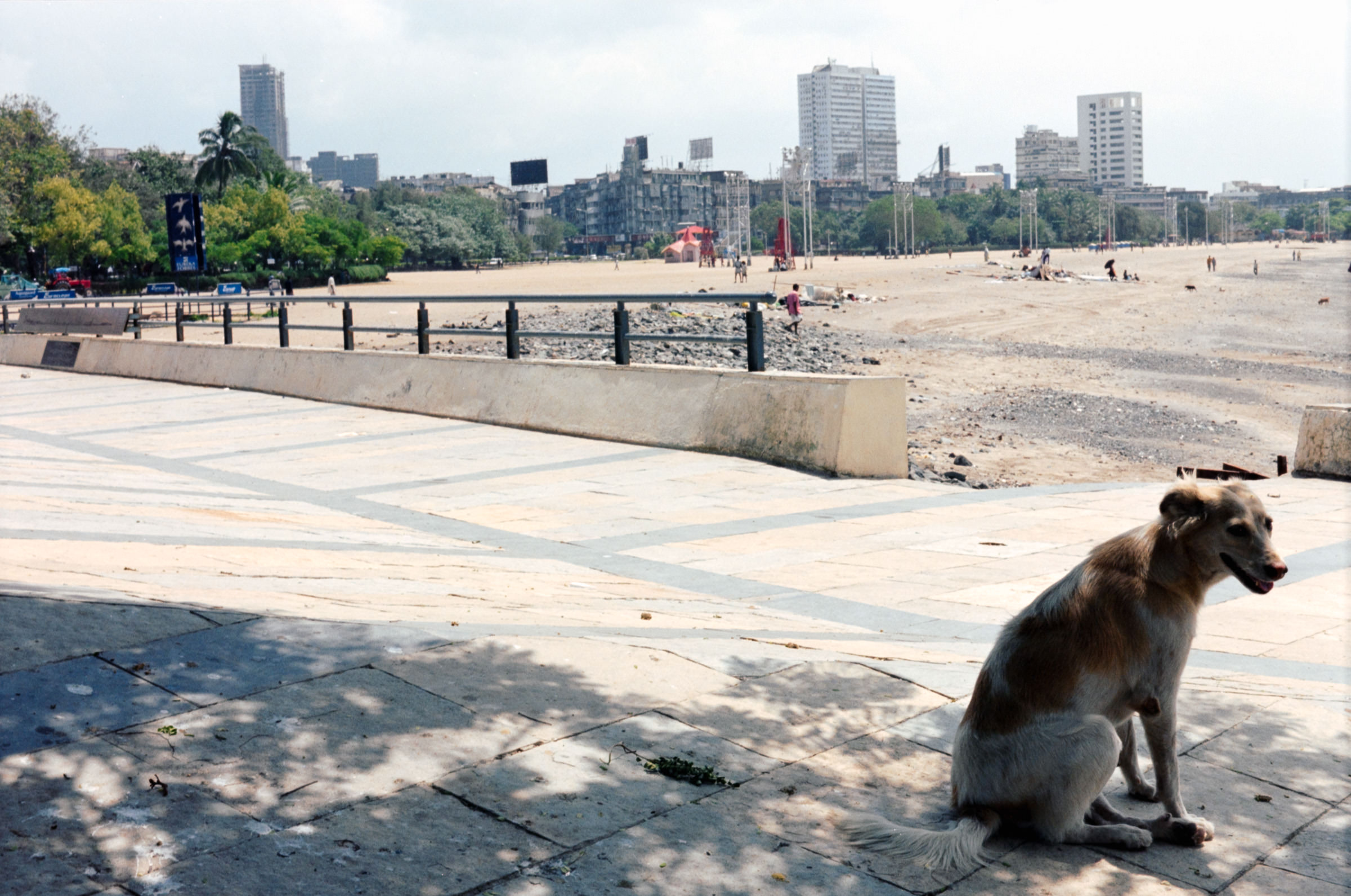 AHP F2004 09 002 sc250526 img07 NLP